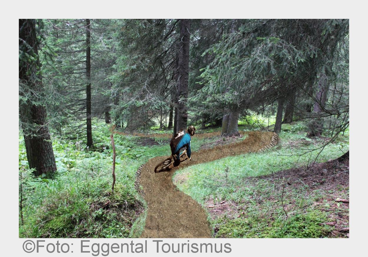 Jede Menge Fahrspaßbeim neuen Flowtrail im Südtiroler Eggental. (Bildquelle: Foto: Eggental Tourismu