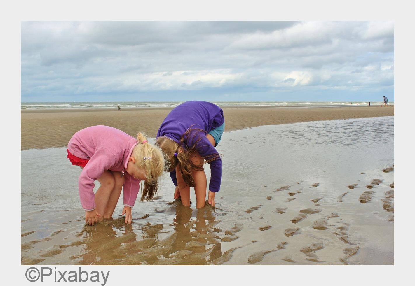 (Bildquelle: Pixabay)