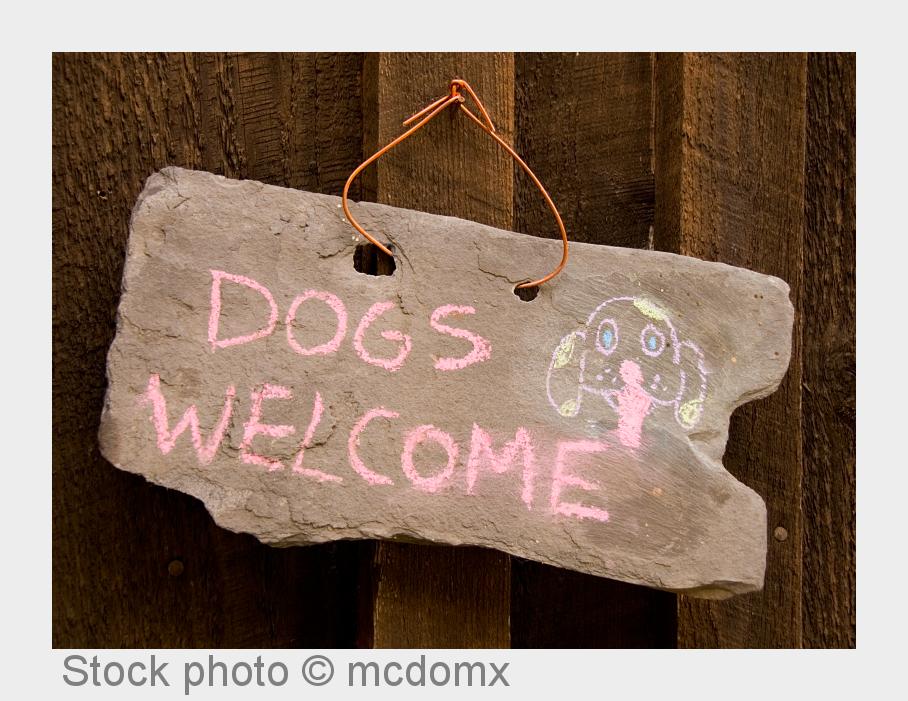 Ferienhaus, Ferienwohnung, Hotel? - Die richtige Wahl für den Urlaub mit Hund mit hunde-urlaub.net (