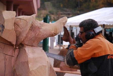Shapoor Engineer beim Nasenbär-Speed-Carving im Galileo-Park