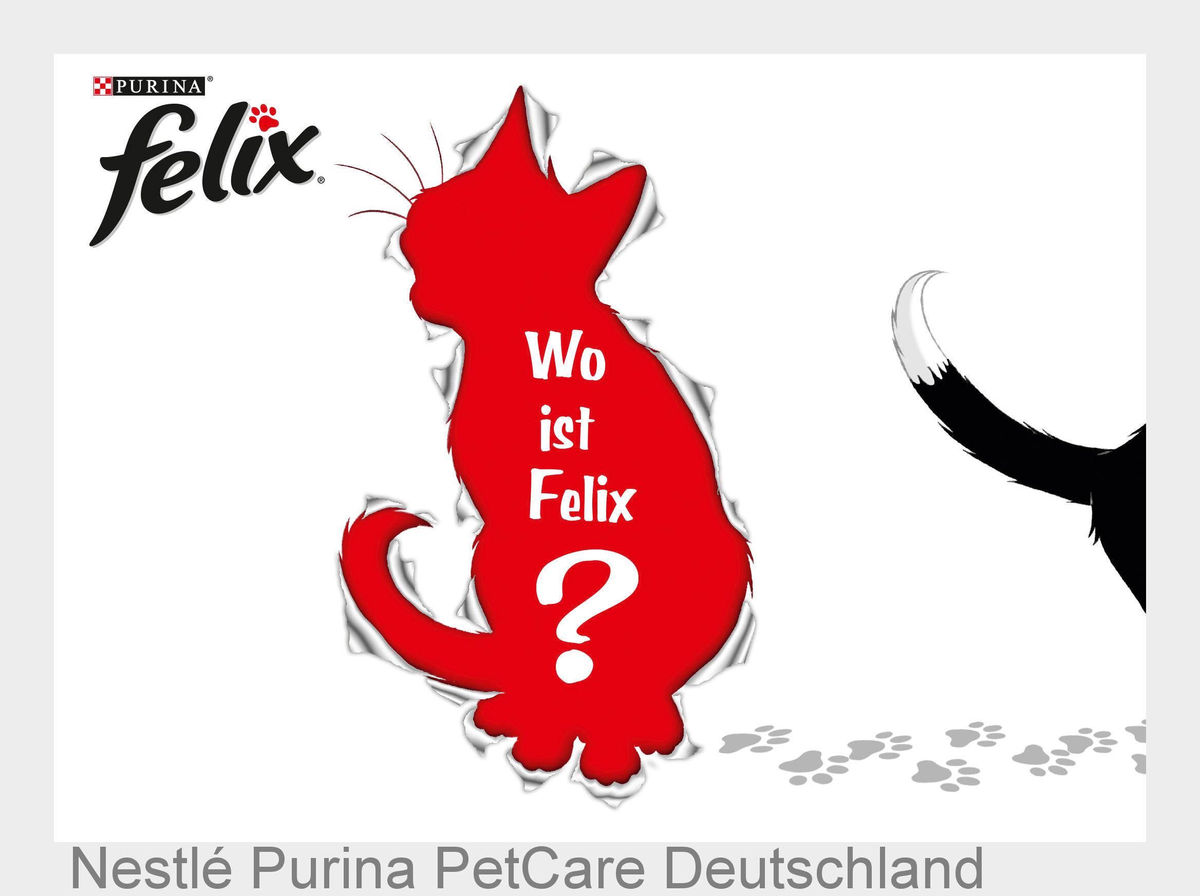 Von Mitte Juli bis Mitte September dreht sich bei FELIX alles um das Thema Katzenverstecke. (Bildque