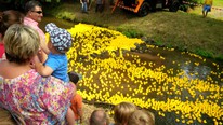Die Rotary-Entenarmada auf der Kahl am 9. August 2015 Die Rotary-Entenarmada auf der Kahl am 9. August 2015