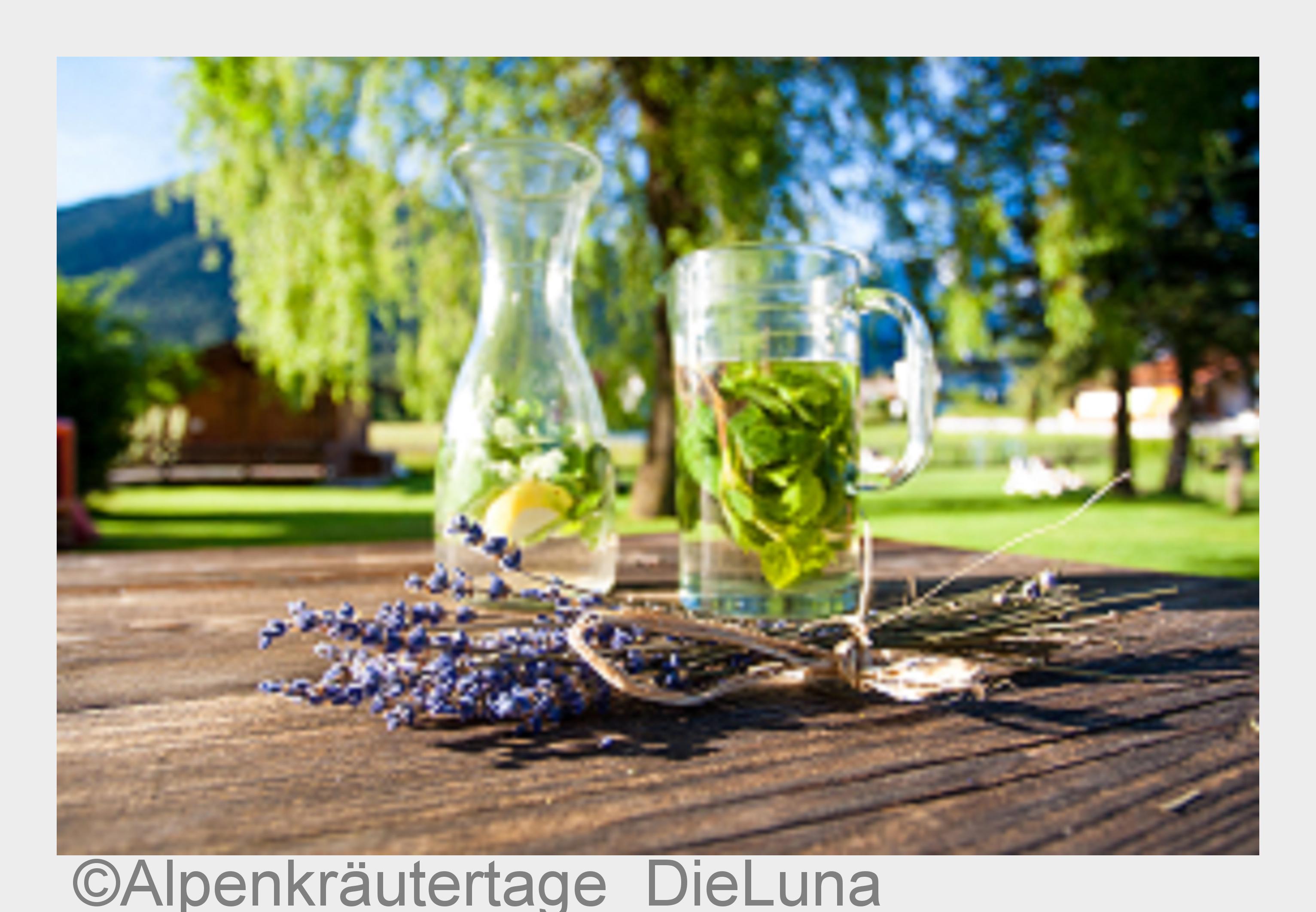 Alpenkräutertage (Bildquelle: Alpenkräutertage_DieLuna) Alpenkräutertage (Bildquelle: Alpenkräutertage_DieLuna)