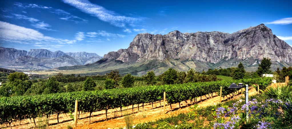 Weinanbau in Südafrika Weinanbau in Südafrika
