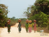 PRIORI Guinea-Bissau Reisen