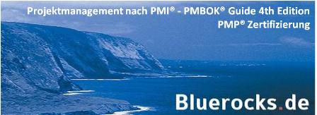 Bluerocks - PMP Zertifizierung
