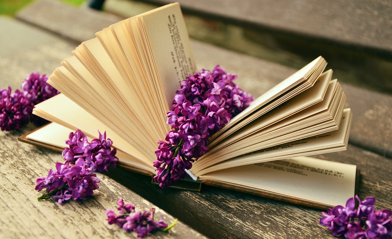 Bücher sind ideale Geschenke für den Strandurlaub Bücher sind ideale Geschenke für den Strandurlaub