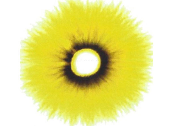 Biologische Therapie mit Plasmaprint Methode.