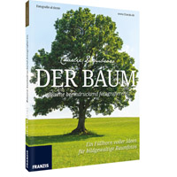 Der Baum  - Bäume beeindruckend fotografieren