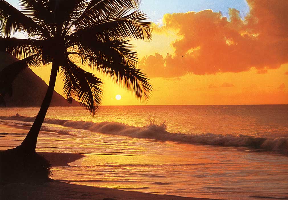 Jobs unter der Sonne Spaniens Jobs unter der Sonne Spaniens
