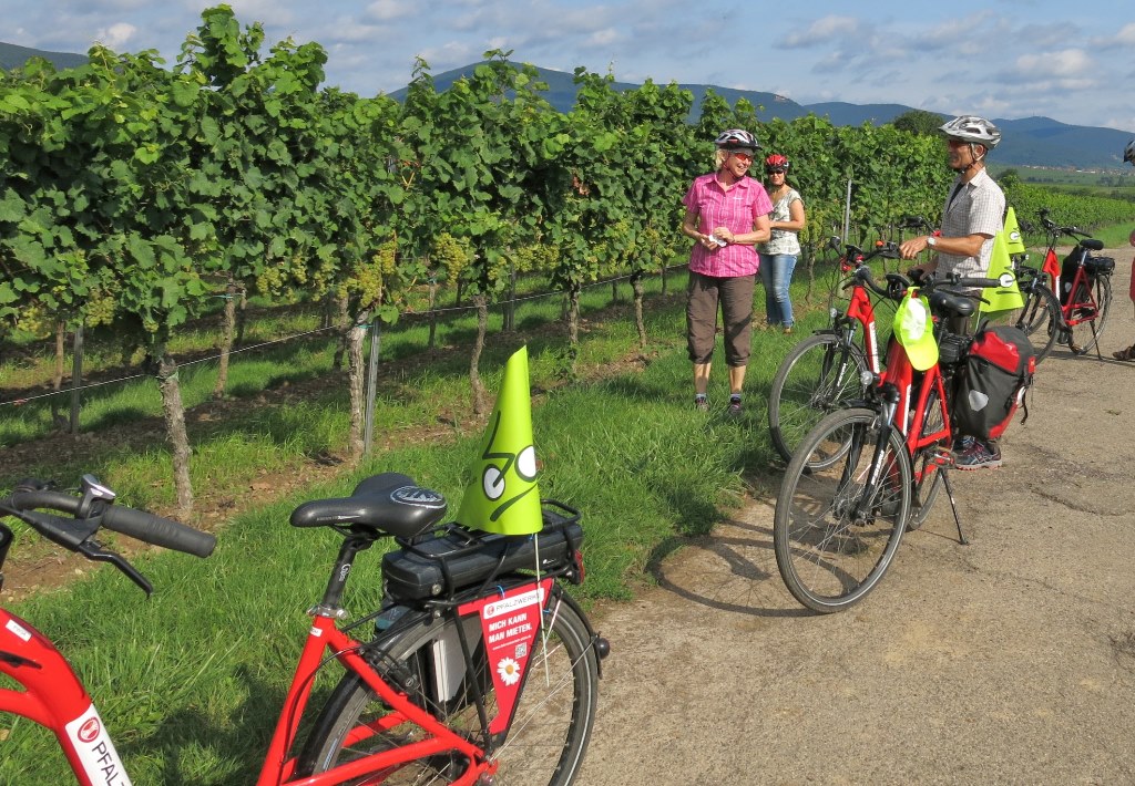 genussradeln-pfalz organisiert zur Weinlese Radausflüge mit Pedleces an der Deutschen Weinstraße genussradeln-pfalz organisiert zur Weinlese Radausflüge mit Pedleces an der Deutschen Weinstraße