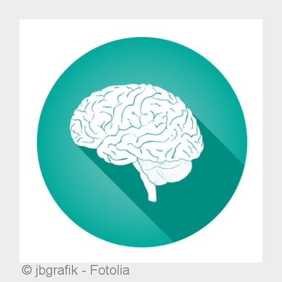 Operationen von Tumoren an der Wirbelsäule und am Gehirn: Schwerpunkt in der Neurochirurgie. (Bildqu Operationen von Tumoren an der Wirbelsäule und am Gehirn: Schwerpunkt in der Neurochirurgie. (Bildqu
