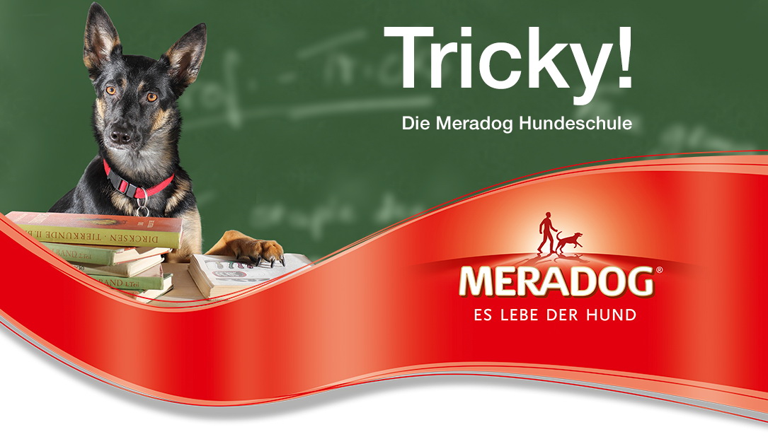 Hundetricks für Anfänger und Fortgeschrittene in der Meradog Hundeschule?kostenlos und online. Hundetricks für Anfänger und Fortgeschrittene in der Meradog Hundeschule?kostenlos und online.