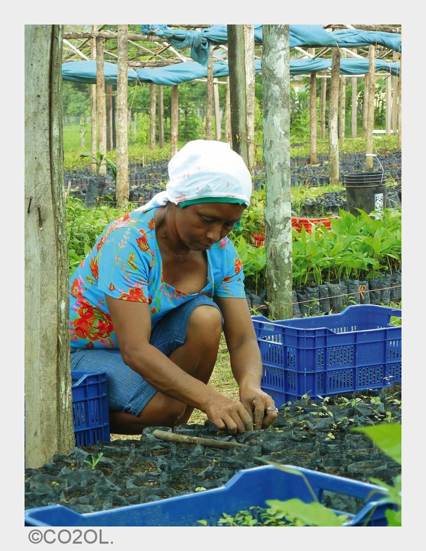 Mit biosfair ermöglicht PROGAS in Panama die Anpflanzung neuen Waldes. (Bildquelle: CO2OL.) Mit biosfair ermöglicht PROGAS in Panama die Anpflanzung neuen Waldes. (Bildquelle: CO2OL.)