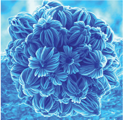 Nanotechnologie Nanotechnologie