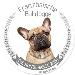 Hunderasse des Jahres 2015: Französische Bulldogge