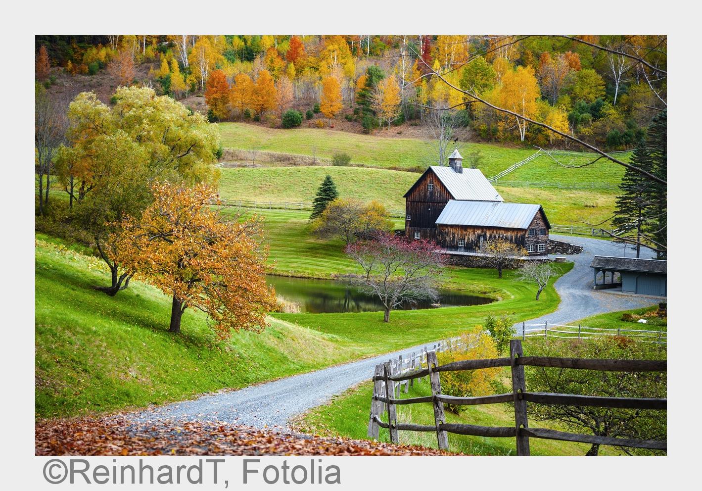 Jährlich eine Attraktion: Indian Summer in Kanada. (Bildquelle: ReinhardT, Fotolia) Jährlich eine Attraktion: Indian Summer in Kanada. (Bildquelle: ReinhardT, Fotolia)