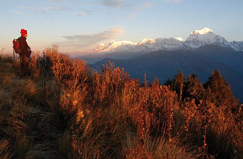 Om Oktober starten die ersten Wikinger-Gruppen nach Nepal - auf sie wartet u. a. der Poon Hill Om Oktober starten die ersten Wikinger-Gruppen nach Nepal - auf sie wartet u. a. der Poon Hill