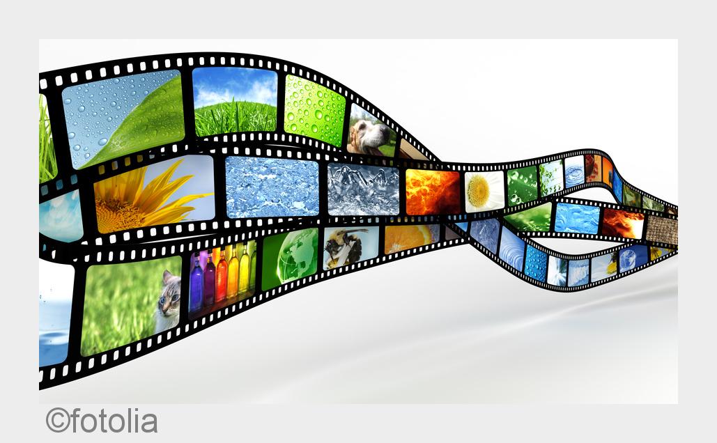 (Bildquelle: fotolia) (Bildquelle: fotolia)