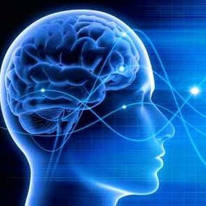 Die Padberg Beratung nutzt die Neurowissenschaften im Management für Industrie 4.0