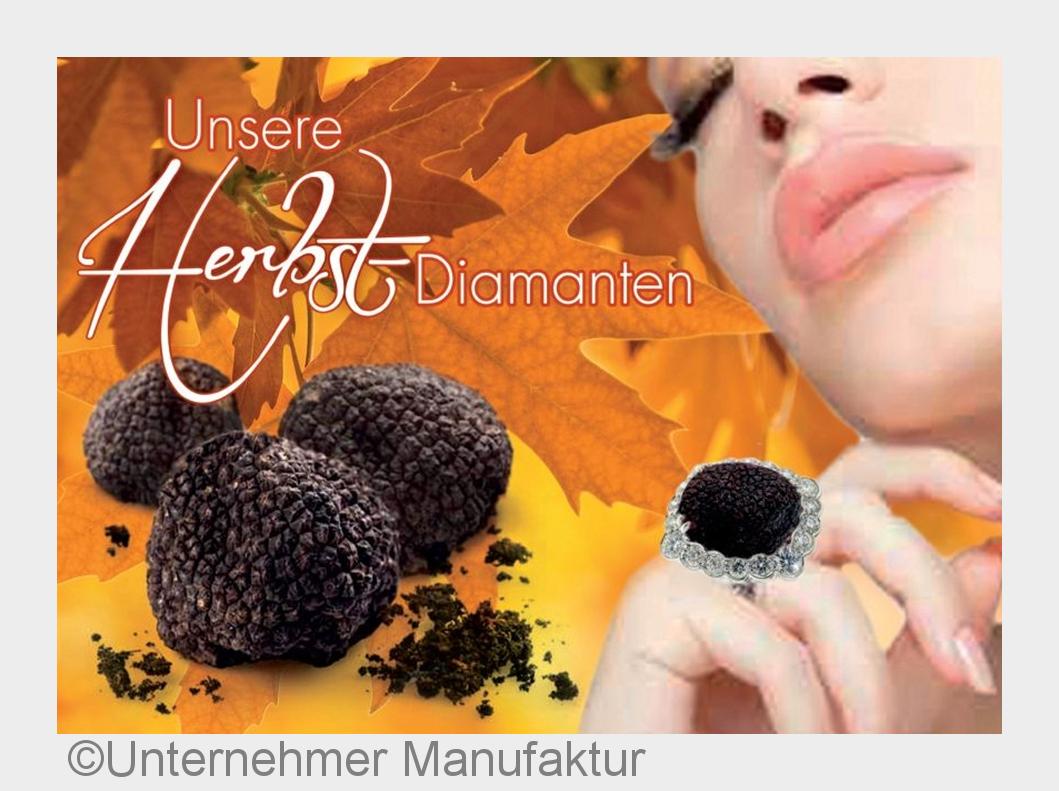 Herbstdiamanten im Herbsturlaub am Bodensee (Bildquelle: Unternehmer Manufaktur) Herbstdiamanten im Herbsturlaub am Bodensee (Bildquelle: Unternehmer Manufaktur)