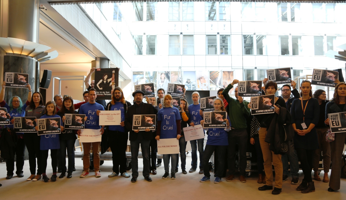 Die Mitarbeiter des Deutsche Tierschutzbüros entschieden sich für eine Protestaktion, um den Tieren Die Mitarbeiter des Deutsche Tierschutzbüros entschieden sich für eine Protestaktion, um den Tieren