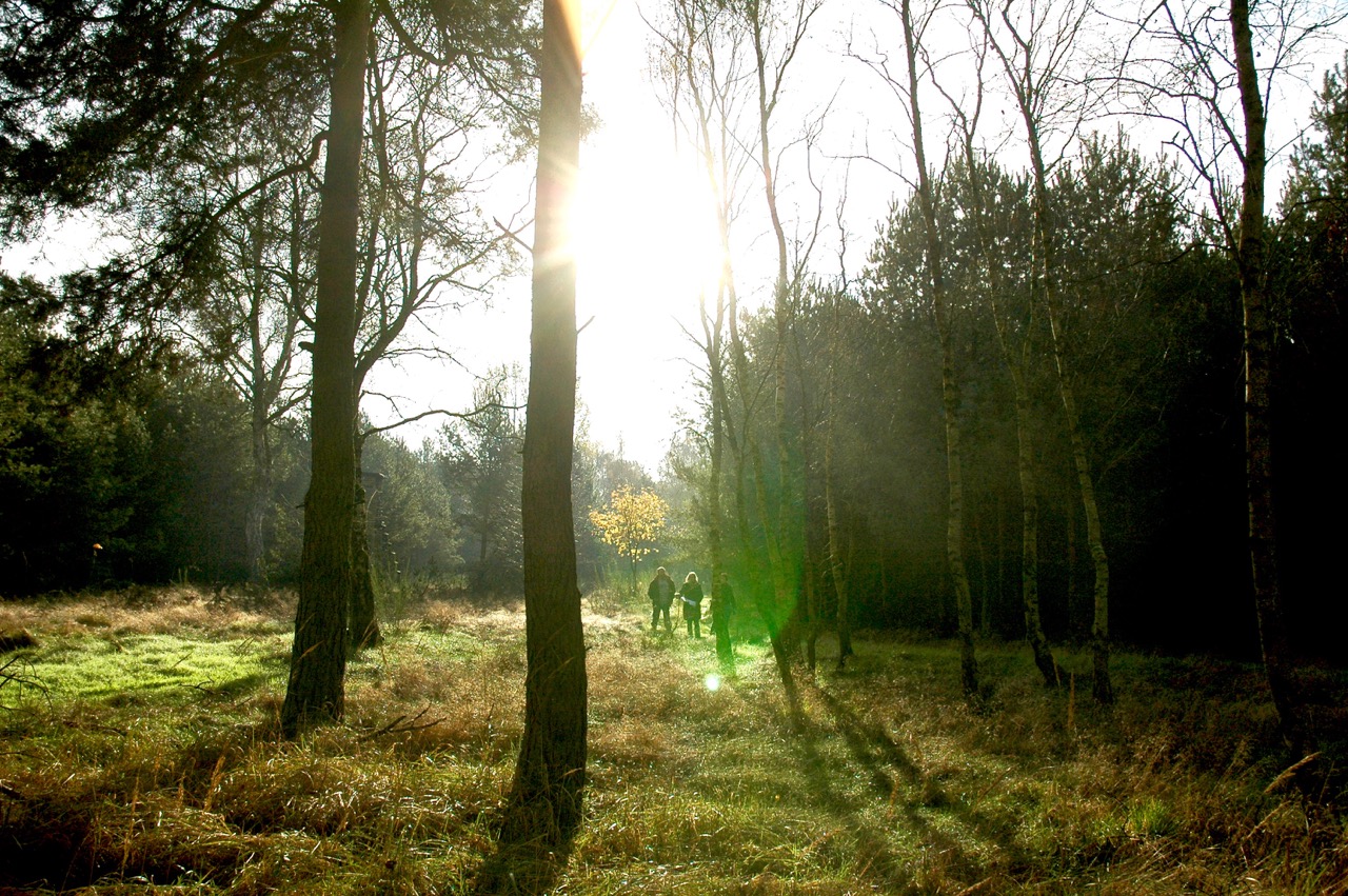 Ausgedehnte Spaziergänge rund um Zempow Ausgedehnte Spaziergänge rund um Zempow