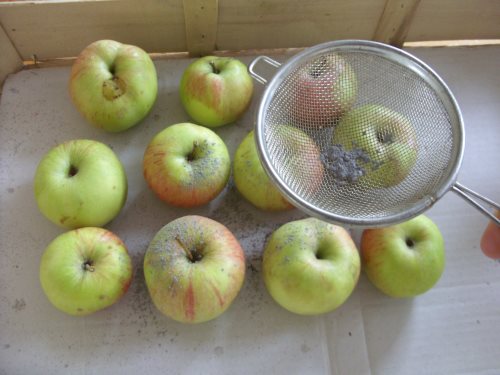 Frischhalten vonÄpfeln Frischhalten vonÄpfeln