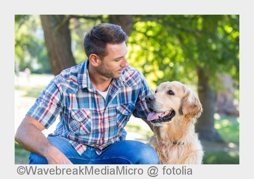 (Bildquelle: WavebreakMediaMicro @ fotolia) (Bildquelle: WavebreakMediaMicro @ fotolia)