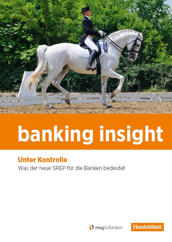 Die aktuelle Studie banking insight ist erschienen