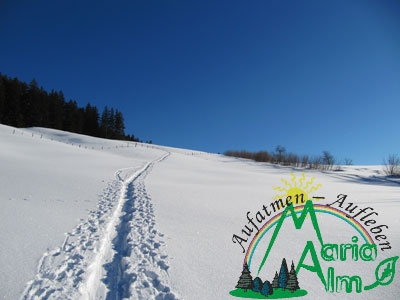 Winterurlaub 2015 - in Maria Alm! Winterurlaub 2015 - in Maria Alm!