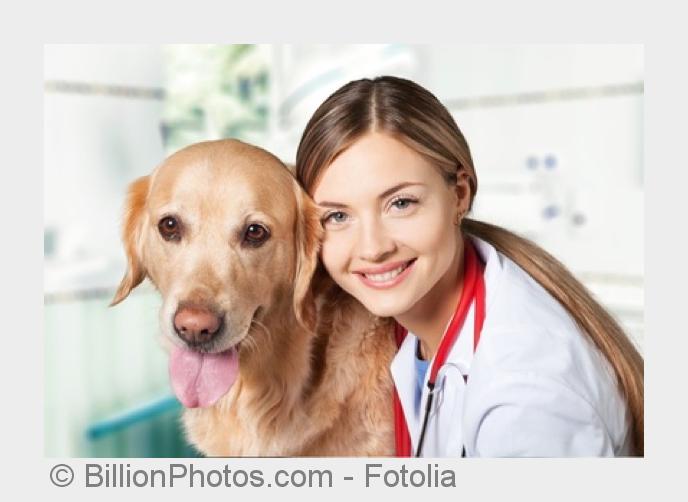 Bei Urlaubsantritt sollten Fragen zu Impfungen geklärt sein. (Bildquelle:©BillionPhotos.com - Fotoli Bei Urlaubsantritt sollten Fragen zu Impfungen geklärt sein. (Bildquelle:©BillionPhotos.com - Fotoli