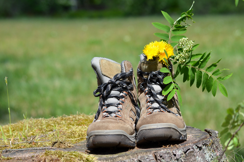 Bewegendes Coaching (Fotolia_32389063_S.jpg) Bewegendes Coaching (Fotolia_32389063_S.jpg)