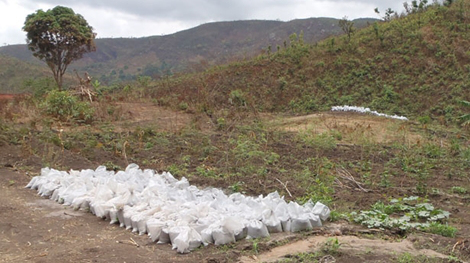 Auf dem Epanko-Projekt entnommene Graphiterzproben; Foto: Kibaran Resources Auf dem Epanko-Projekt entnommene Graphiterzproben; Foto: Kibaran Resources