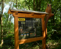 Neue Tierskulpturen aus Holz erweitern das interaktive Erkunden des Schulungswaldes in Heidenrod. Neue Tierskulpturen aus Holz erweitern das interaktive Erkunden des Schulungswaldes in Heidenrod.