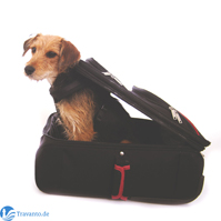 Mit Hund verreisen - bei Ferienhausvermittler Travanto.de möglich Mit Hund verreisen - bei Ferienhausvermittler Travanto.de möglich