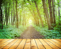 Foto: © SkyLine – Fotolia.com Foto: © SkyLine – Fotolia.com
