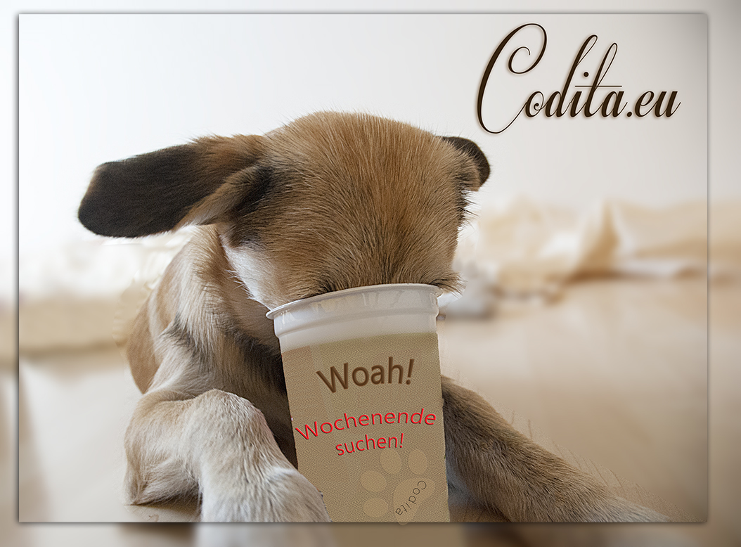 www.codita.eu - wir starten! www.codita.eu - wir starten!