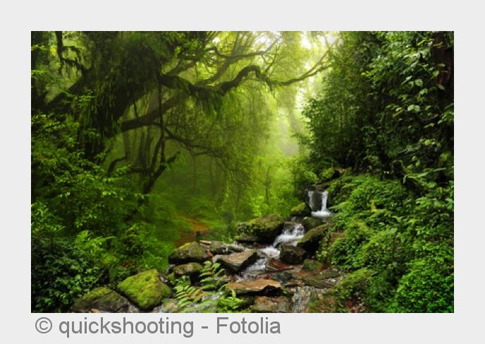 Naturschalltherapie: Ein Klangerlebnis für therapeutische Zwecke genutzt. (Bildquelle:©quickshooting Naturschalltherapie: Ein Klangerlebnis für therapeutische Zwecke genutzt. (Bildquelle:©quickshooting