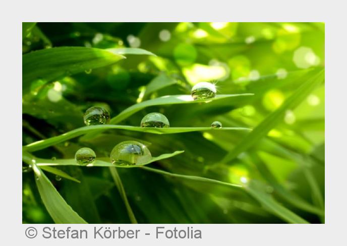 Alternativmedizinische Behandlungsansätze können den Alltag erleichtern. (Bildquelle:©Stefan Körber 