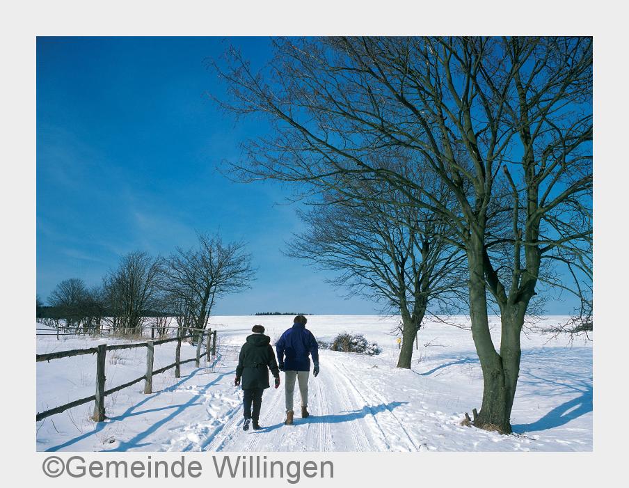 Winterwandern in Willingen (Bildquelle: Gemeinde Willingen)
