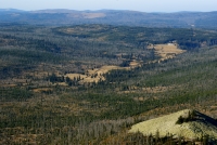 Blick über den einstigen Eisernen Vorhang im Lusental (Luzenské údolí). Luftbild: Leibl, NPV BW