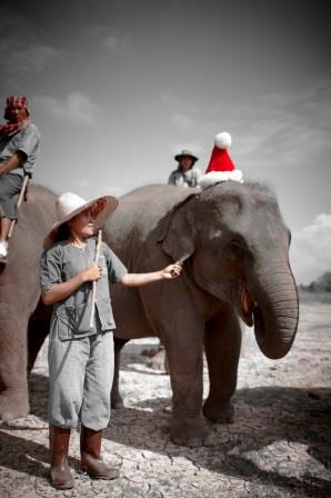 Weihnachten im Anantara Golden Triangle Weihnachten im Anantara Golden Triangle