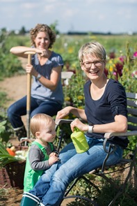 www.meine-ernte.de