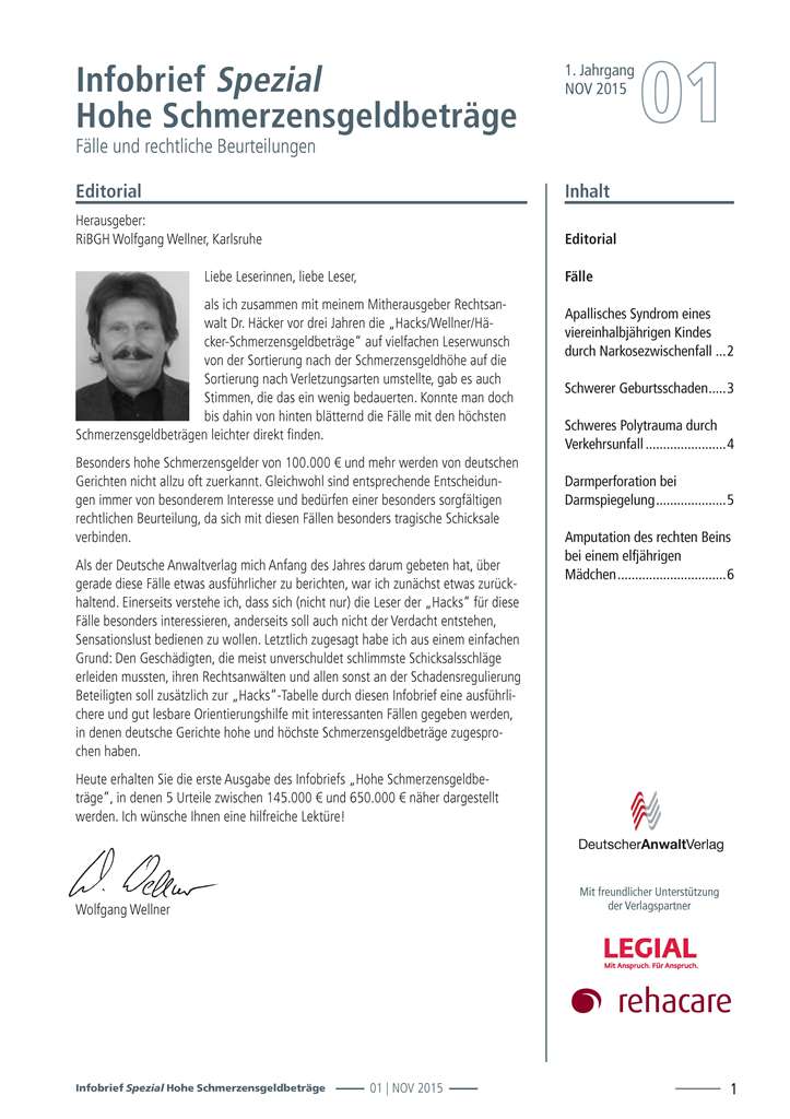 Infobrief"Hohe Schmerzensgeldbeträge" Infobrief"Hohe Schmerzensgeldbeträge"