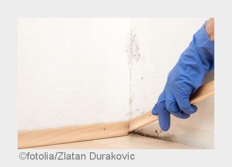 Schimmelpilze wachsen häufig im Verborgenen. (Bildquelle: fotolia/Zlatan Durakovic) Schimmelpilze wachsen häufig im Verborgenen. (Bildquelle: fotolia/Zlatan Durakovic)