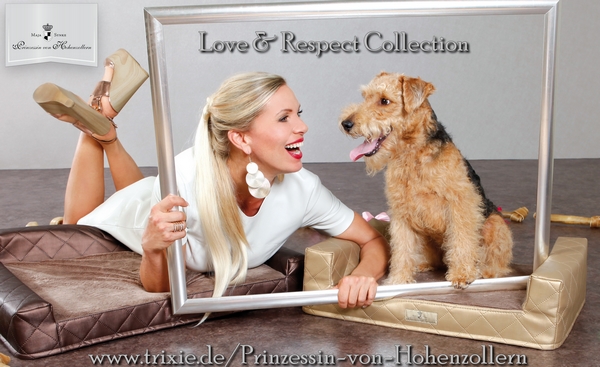 Lifesyle-Betten im angesagten Metallik-Look für Hunde und Katzen, vegan