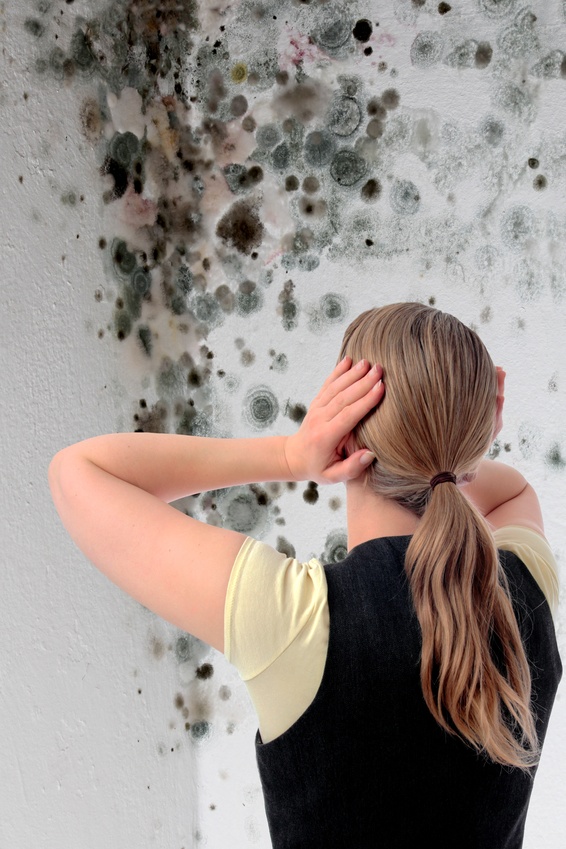 Schimmel in einer Zimmerecke