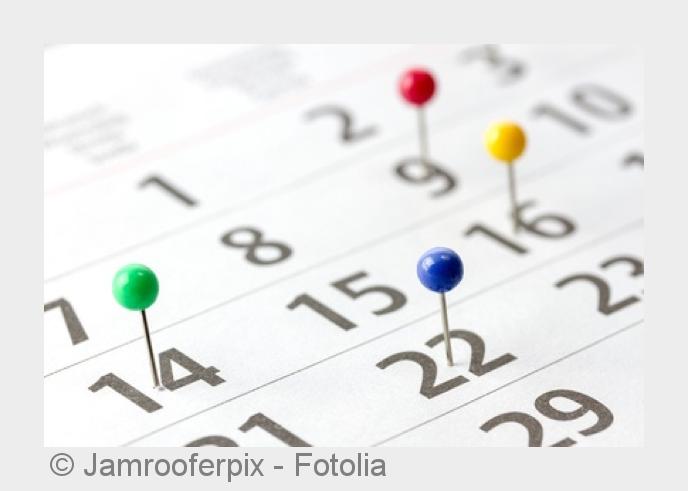 (Bildquelle:©Jamrooferpix - Fotolia) (Bildquelle:©Jamrooferpix - Fotolia)