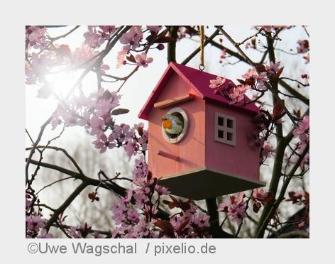 (Bildquelle: Uwe Wagschal / pixelio.de) (Bildquelle: Uwe Wagschal / pixelio.de)
